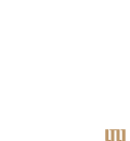 鶏